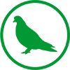 Zaštita od golubova - Bezbedna zaštita od ptica